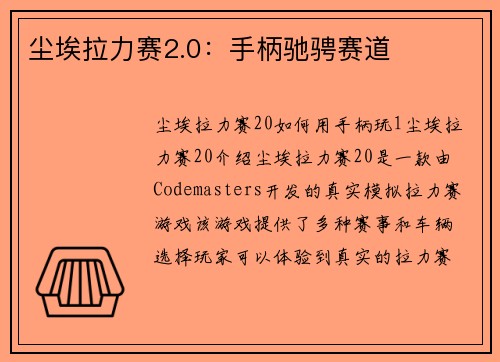 尘埃拉力赛2.0：手柄驰骋赛道